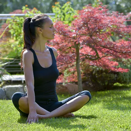 Park Imperial Hotel Limone sul Garda